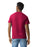 Gildan 2000 Ultra Cotton™ Adult T-Shirt (Cardinal Red)