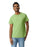 Gildan 2000 Ultra Cotton™ Adult T-Shirt (Kiwi)