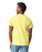 Gildan 2000 Ultra Cotton™ Adult T-Shirt (Corn Silk)