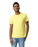 Gildan 2000 Ultra Cotton™ Adult T-Shirt (Corn Silk)
