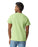 Gildan 2000 Ultra Cotton™ Adult T-Shirt (Pistachio)