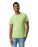 Gildan 2000 Ultra Cotton™ Adult T-Shirt (Pistachio)