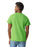 Gildan 2000 Ultra Cotton™ Adult T-Shirt (Lime)