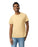 Gildan 2000 Ultra Cotton™ Adult T-Shirt (Vegas Gold)
