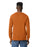 Gildan 2400 Ultra Cotton™ Adult Long Sleeve T-Shirt (Texas Orange)