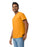 Gildan 5000 Heavy Cotton™ Adult T-shirt (Gold)