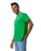 Gildan 5000 Heavy Cotton™ Adult T-shirt (Irish Green)