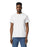 Gildan 8000 DryBlend® Adult T-Shirt (White)