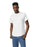 Gildan 8000 DryBlend® Adult T-Shirt (White)